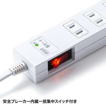 サンワサプライ 雷ガードタップ 2P・10個口 3m TAP-SP217-3 1個
