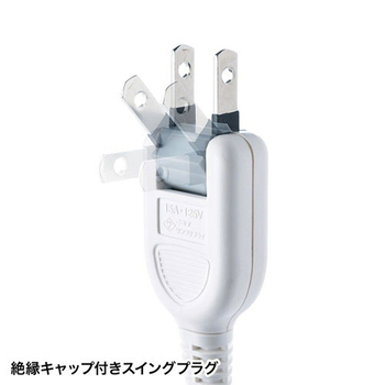 サンワサプライ 雷ガードタップ 2P・10個口 3m TAP-SP217-3 1個