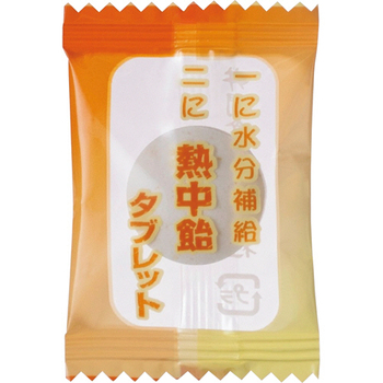井関食品 熱中飴タブレット 夏みかん味 620g 1袋