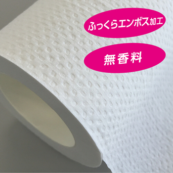 日本製紙クレシア スコッティ フラワーパック 3倍長持ち ダブル 芯あり 75m 1パック(4ロール)