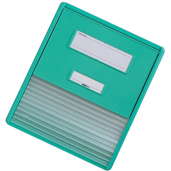 リヒトラブ カラーカードインデックス A4 11ポケット グリーン HC111C-3 1冊