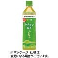 伊藤園 おーいお茶 カテキン緑茶 500ml ペットボトル 1ケース(24本)