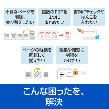 ソースネクスト いきなりPDF Ver.11 STANDARD 1本