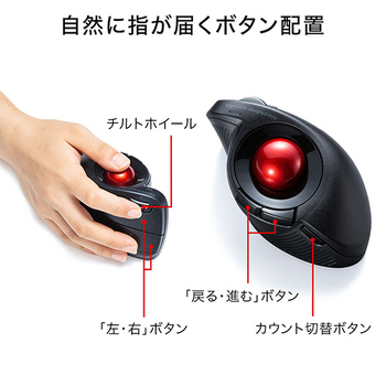 サンワサプライ Bluetoothエルゴトラックボール チルトホイール マルチペアリング ブラック MA-BTTB179BK 1個