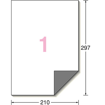 エーワン ラベルシール[プリンタ兼用] 下地がかくせて透かしても読めない修正タイプ マット紙・ホワイト A4 ノーカット 31660 1冊(50シート)