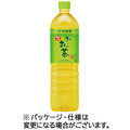 伊藤園 おーいお茶 緑茶 1L ペットボトル 1セット(24本:12本×2ケース)