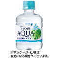 JR東日本クロスステーション フロムアクア 谷川連峰の天然水 300mL ペットボトル 1セット(48本:24本×2ケース)