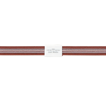 ライオン事務器 ゴムdeパッチ バンド幅10×長さ600mm JG-10W ブラウン 1個
