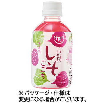 さめうらフーズ すっきりさわやかしそごこち 280mL ペットボトル 1セット(24本:12本×2ケース)