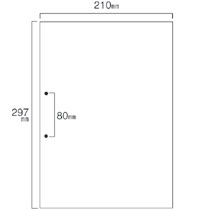 TANOSEE スマイル用LBP用紙 A4汎用白紙 分割なし 2穴 1箱(500枚)