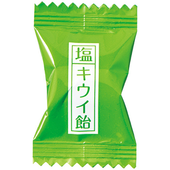 加藤製菓 塩キウイ飴 58g/パック 1セット(10パック)
